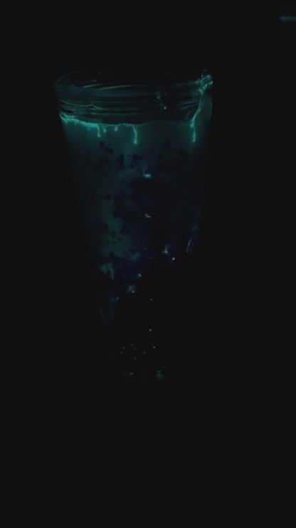 Lumora’s Lullaby [LAVA GLOW] - 24oz Tumbler
